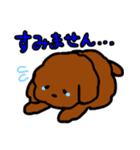 おしゃべりトイプードル（個別スタンプ：10）