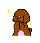 おしゃべりトイプードル（個別スタンプ：14）