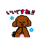 おしゃべりトイプードル（個別スタンプ：15）