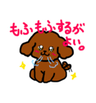 おしゃべりトイプードル（個別スタンプ：16）