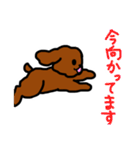 おしゃべりトイプードル（個別スタンプ：17）