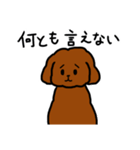 おしゃべりトイプードル（個別スタンプ：21）