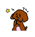 おしゃべりトイプードル（個別スタンプ：22）