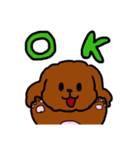 おしゃべりトイプードル（個別スタンプ：23）