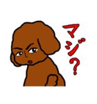 おしゃべりトイプードル（個別スタンプ：27）