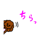 おしゃべりトイプードル（個別スタンプ：29）