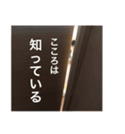 アメコカ＆バーニーズ（個別スタンプ：10）