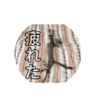 動物スタンプ❗️（個別スタンプ：2）