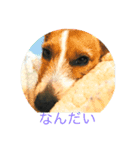 ノエル カワカワ（個別スタンプ：2）