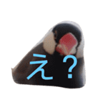 シンプルな文鳥（個別スタンプ：5）