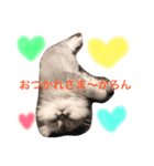 みさろん（個別スタンプ：2）