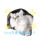 みさろん（個別スタンプ：7）