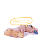 コロココ（個別スタンプ：2）
