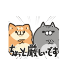 ボンレス犬とボンレス猫 む～ぶ【敬語】（個別スタンプ：14）