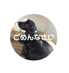 ココまみれ（個別スタンプ：6）