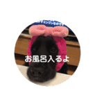 ココまみれ（個別スタンプ：7）