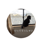 ココまみれ（個別スタンプ：10）