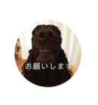 ココまみれ（個別スタンプ：13）