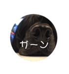 ココまみれ（個別スタンプ：24）