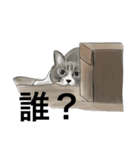 加藤さんチの天くん（個別スタンプ：6）
