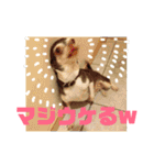 なずな  vol.2（個別スタンプ：6）