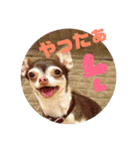 なずな  vol.2（個別スタンプ：7）