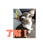 なずな  vol.2（個別スタンプ：8）