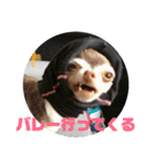 なずな  vol.2（個別スタンプ：10）