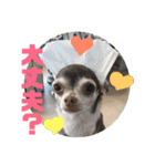 なずな  vol.2（個別スタンプ：13）