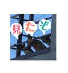 なずな  vol.2（個別スタンプ：14）