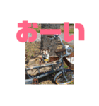 なずな  vol.2（個別スタンプ：21）