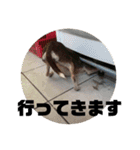 なずな  vol.2（個別スタンプ：22）