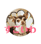 なずな  vol.2（個別スタンプ：26）
