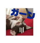 なずな  vol.2（個別スタンプ：27）