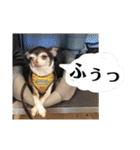 なずな  vol.2（個別スタンプ：28）