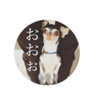 なずな  vol.2（個別スタンプ：29）