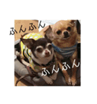 なずな  vol.2（個別スタンプ：30）