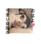 なずな  vol.2（個別スタンプ：31）