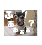 なずな  vol.2（個別スタンプ：33）