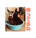 なずな  vol.2（個別スタンプ：34）