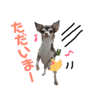 なずな  vol.2（個別スタンプ：39）
