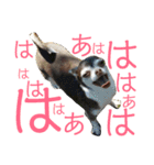 なずな  vol.2（個別スタンプ：40）