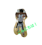 幸ちゃんです（個別スタンプ：4）