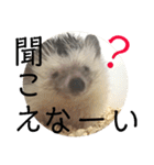 こてちまスタンプ（個別スタンプ：28）