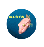 水中のいきものたち（個別スタンプ：1）