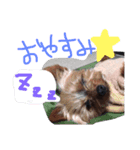 川合ファミリー2（個別スタンプ：8）