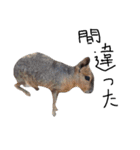 動物の気持ち。（個別スタンプ：25）