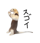 動物の気持ち。（個別スタンプ：26）
