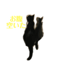 ちひろさん家の猫たち（個別スタンプ：8）