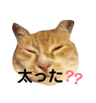 ちくわくんスタンプ②（個別スタンプ：1）